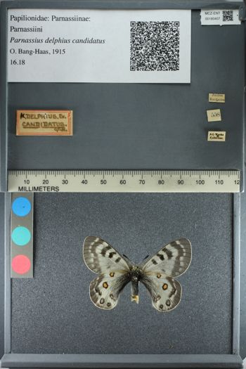 Media type: image;   Entomology 180407